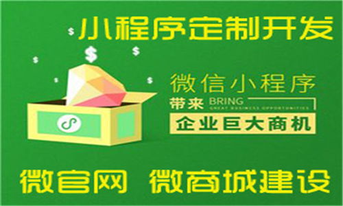 张家口网络公司以创新软件外包服务赢得客户满意